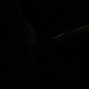 Meet your Posher, Crstina